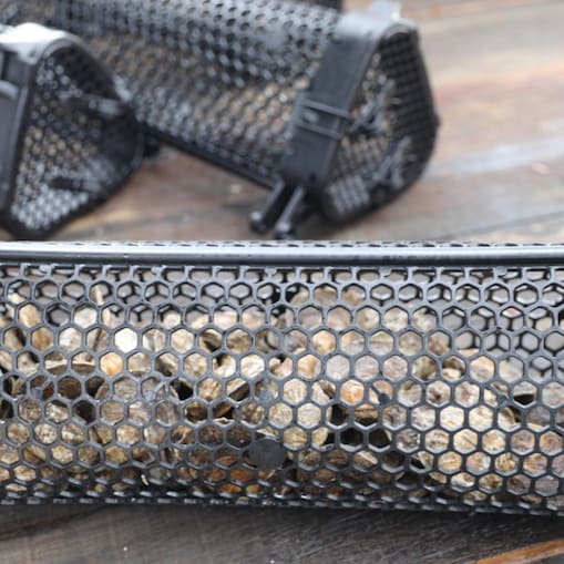 Oyster inside cages 