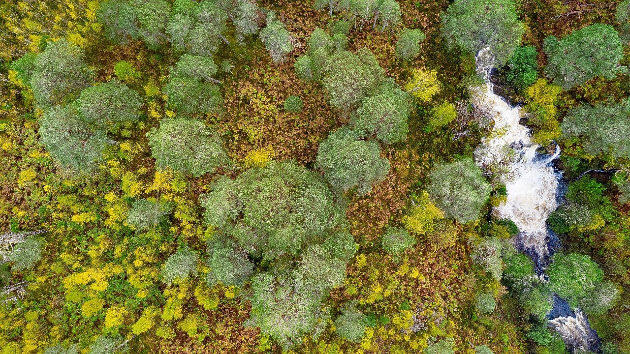 Protecting critical habitats