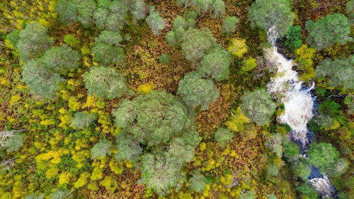 Protecting critical habitats