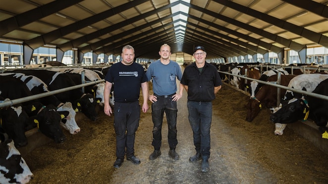 The Egegaard Nielsen, who run a farm in Denmark, standing in their cowshed