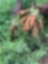 Farmers harvest fruit and vegetables as soon as they are ripe, then try to sell them as quickly as possible because there is a lack of cold storage in the country.