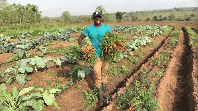 Shola Ladoja farms 2,600 hectares outside Lagos.