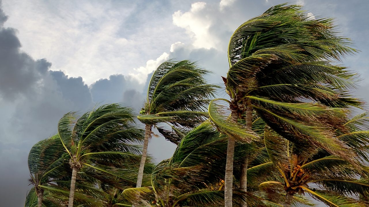 Producing gas with renewables en come rain or shine