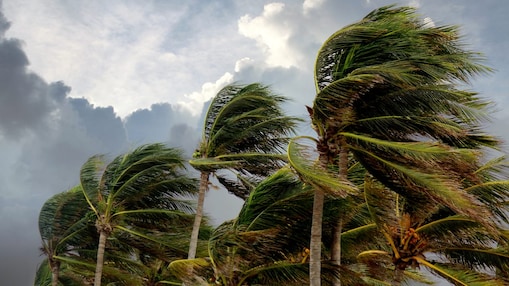 Producing gas with renewables en come rain or shine