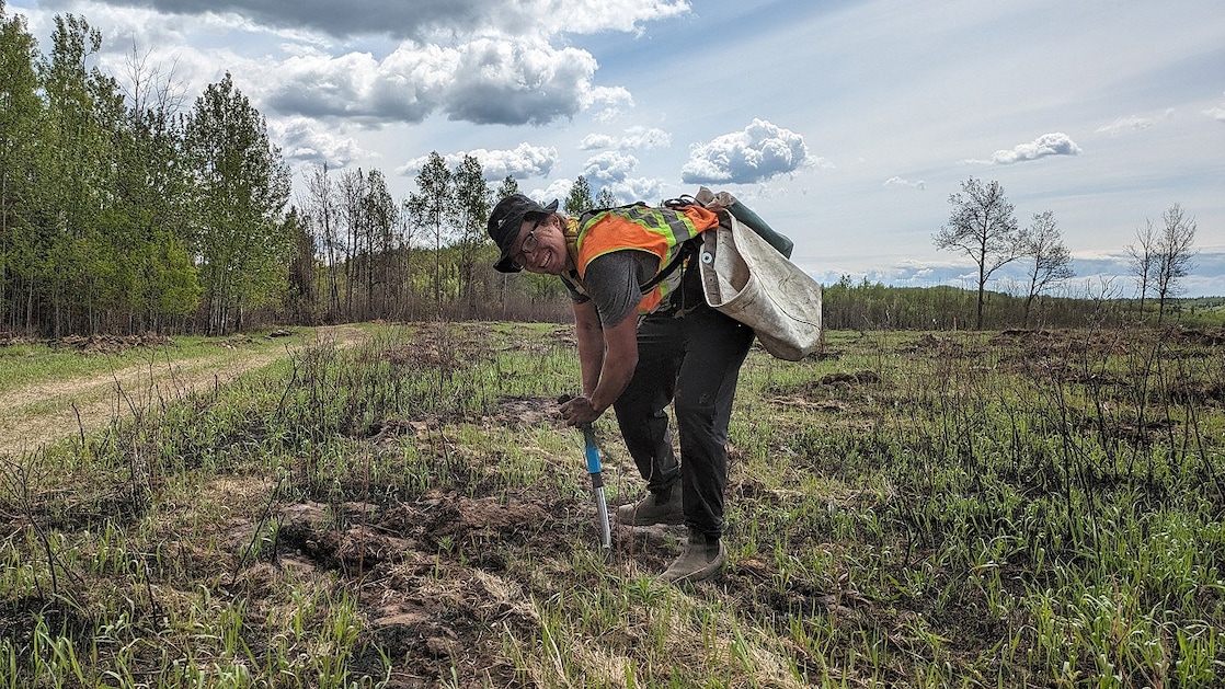 Planting of seedlings on Doig River First Nation land.