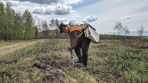 Planting of seedlings on Doig River First Nation land.