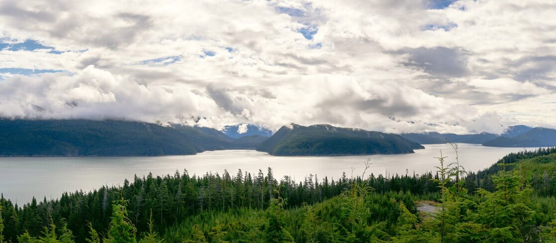 A share and a say” in Canada’s energy future