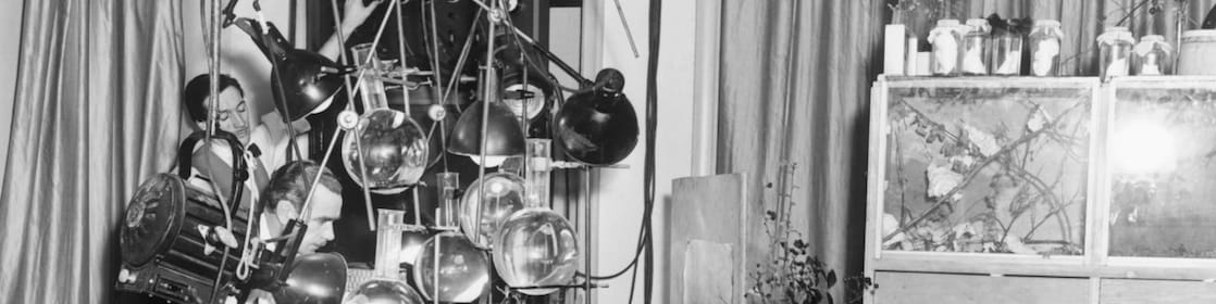 Two men making a film