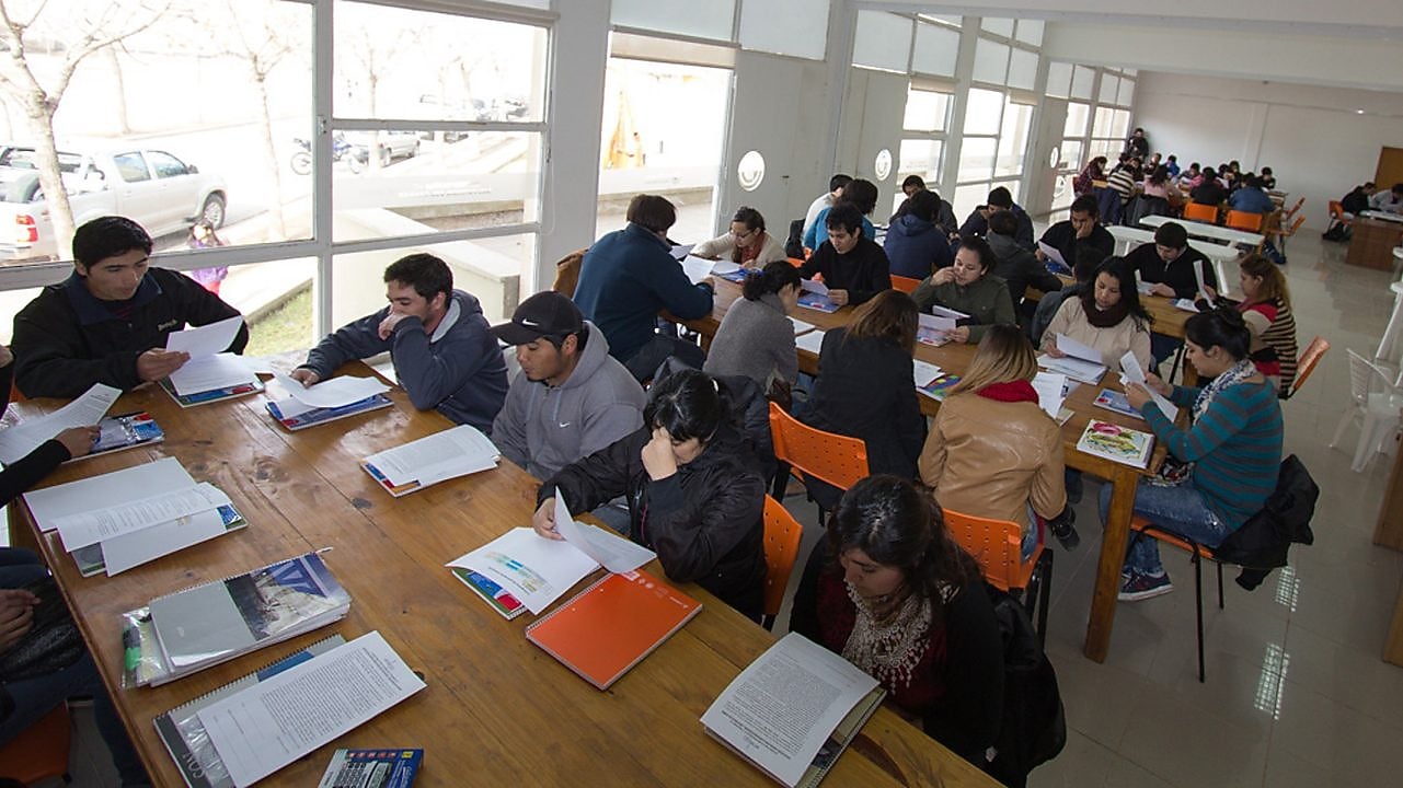 Students studying in library