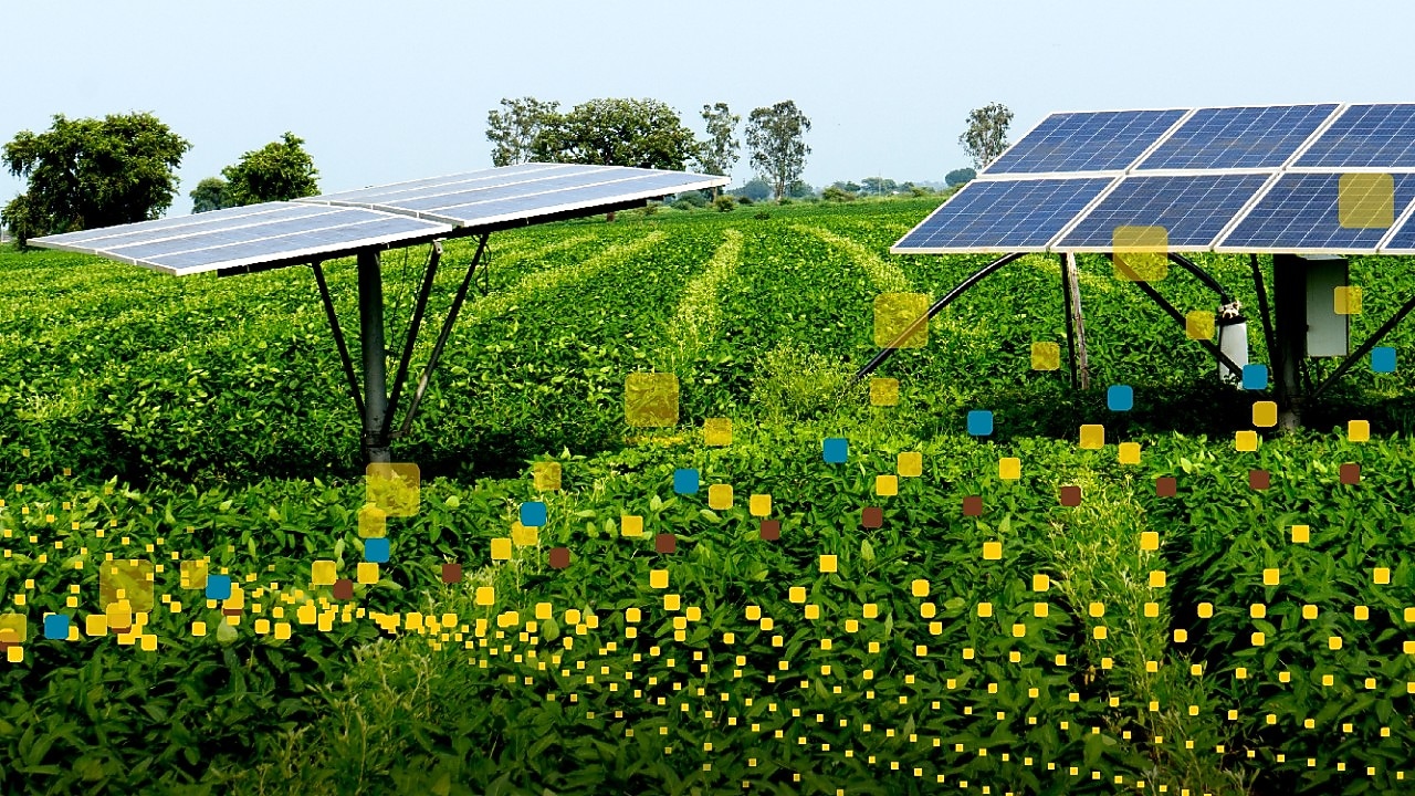 solar panels in green field