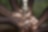 Hands of children with water