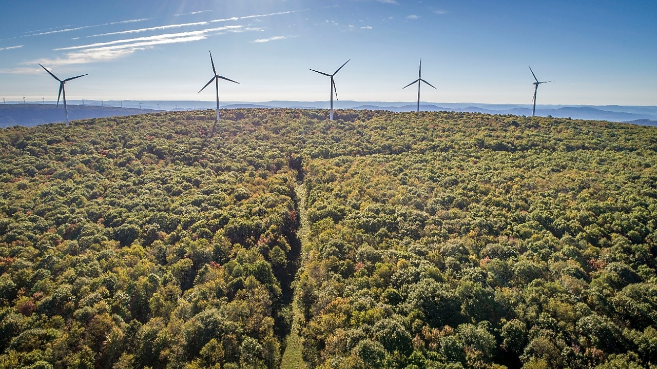 noordzee wind farm
