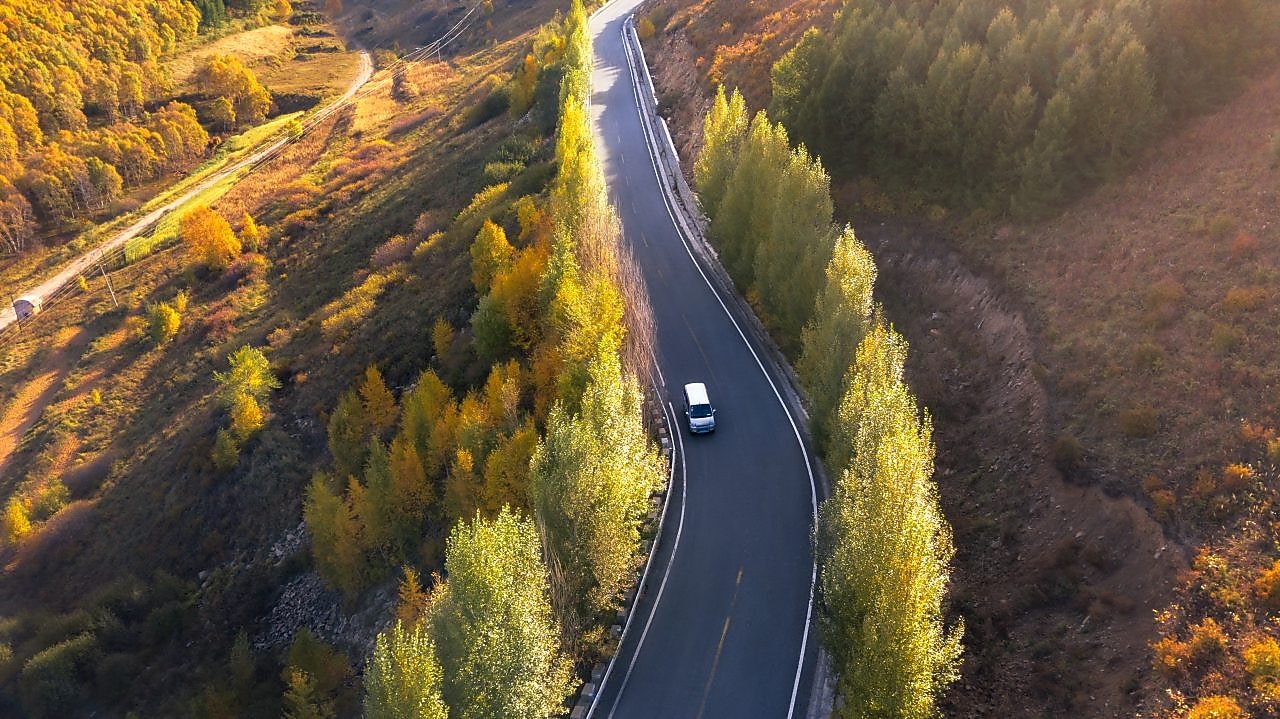 van driving down road in autumnal forest