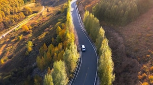 van driving down road in autumnal forest