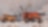 industrial trucks in a quarry related to cement solutions