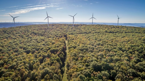 Mount Storm Wind Turbines Far View