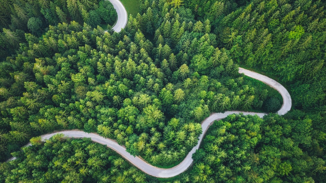 Compensate emissions with carbon credits