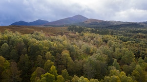 Forestry and Land Scotland is working with Shell UK to preserve and extend native woodland in Glengarry forest project aims to nurture and support the natural regeneration of Scotland’s forests.