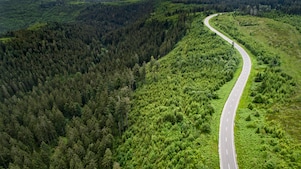 Aerial view of a winding two-lane road cutting through dense green forest, bordered by mature conifers and areas of younger growth.