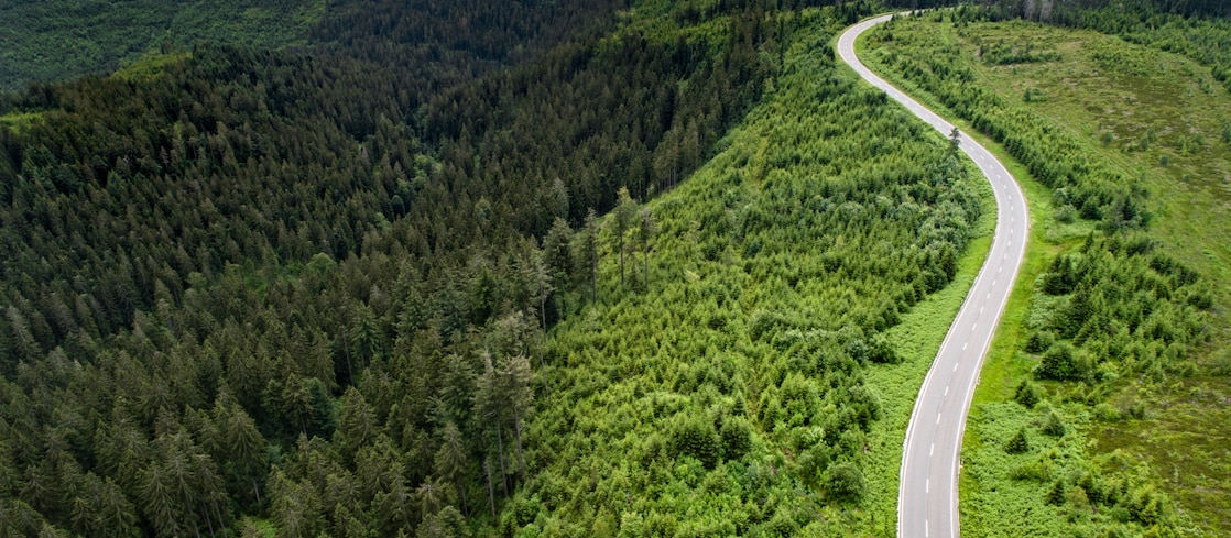 Aerial view of a winding two-lane road cutting through dense green forest, bordered by mature conifers and areas of younger growth.