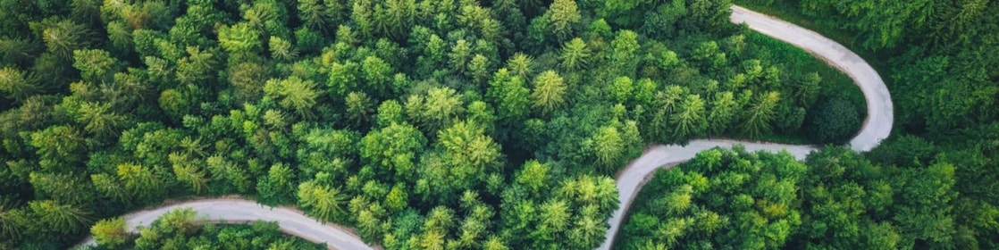 Reduce your carbon footprint with Carbon Credits