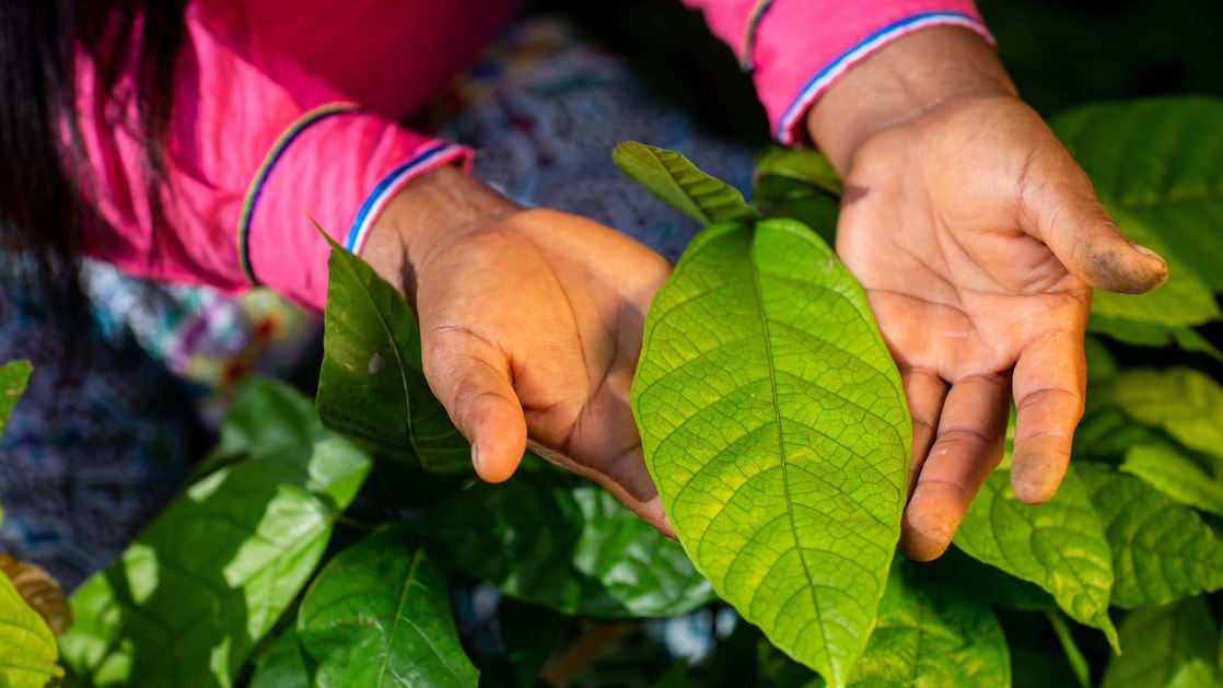 Ask our Environmental Products Team
