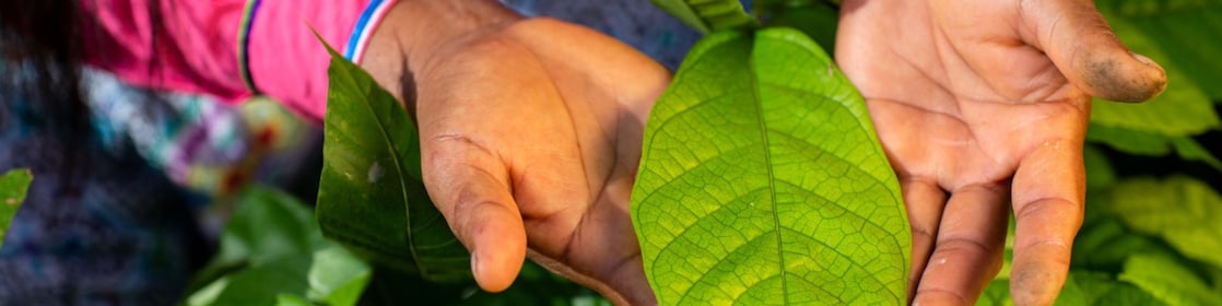 Ask our Environmental Products Team