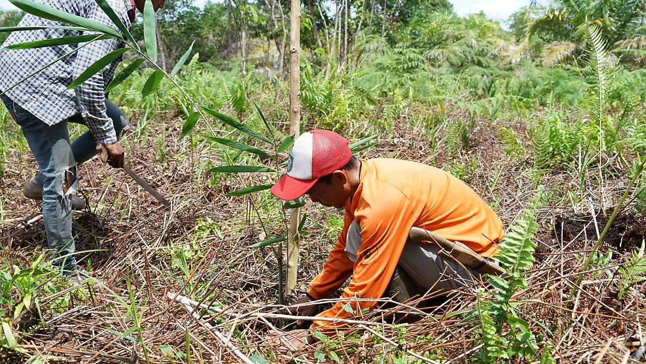 Environmental Products