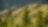 Reforestation and Afforestation