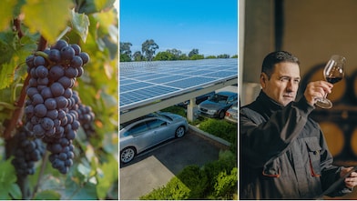 Triptych image displaying, from left to right: a close-up of ripe, purple grapes hanging from a vine with green leaves in the background bathed in sunlight; the middle panel shows a large array of solar panels installed atop a carport, with vehicles parked underneath and trees in the distance under a clear blue sky; and the right panel depicts an individual holding a glass of red wine, standing indoors with soft lighting.