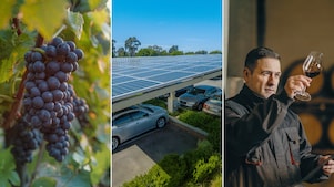 Triptych image displaying, from left to right: a close-up of ripe, purple grapes hanging from a vine with green leaves in the background bathed in sunlight; the middle panel shows a large array of solar panels installed atop a carport, with vehicles parked underneath and trees in the distance under a clear blue sky; and the right panel depicts an individual holding a glass of red wine, standing indoors with soft lighting.