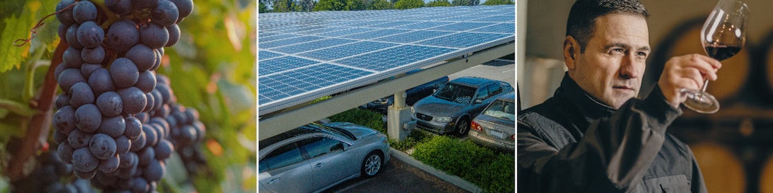 Triptych image displaying, from left to right: a close-up of ripe, purple grapes hanging from a vine with green leaves in the background bathed in sunlight; the middle panel shows a large array of solar panels installed atop a carport, with vehicles parked underneath and trees in the distance under a clear blue sky; and the right panel depicts an individual holding a glass of red wine, standing indoors with soft lighting.