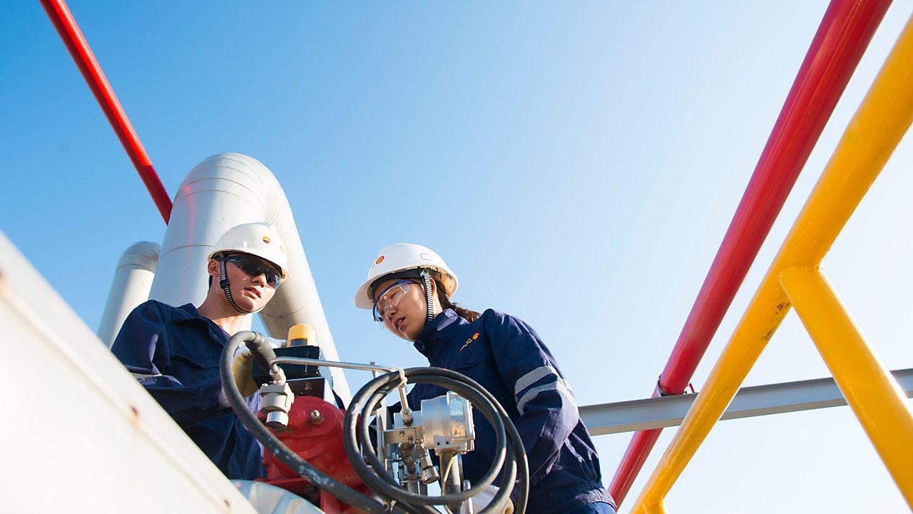 people are working in plant