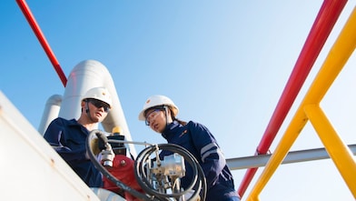 people are working in plant