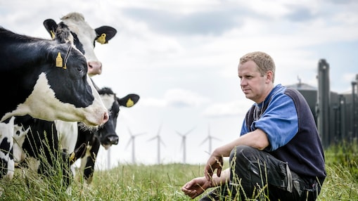 Farmer tending to his herd with biomethane digester in the background 