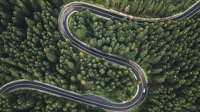 Road winding through forest