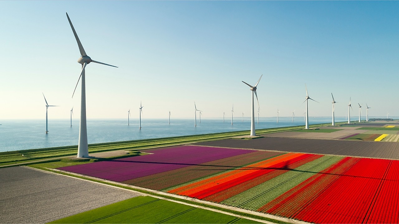 Renewables & energy solutions