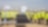 Shell starts construction of its first solar plant in Italy