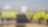 Shell starts construction of its first solar plant in Italy