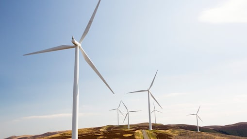 carbon pricing