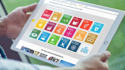 UN 17 sustainable development goals