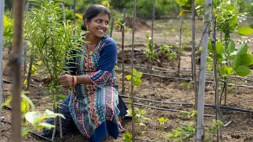 Skills for resource-based livelihoods