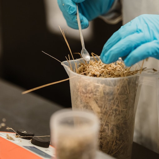 Shell scientist analysing composition of organic waste feedstock to maximise biogas plant output