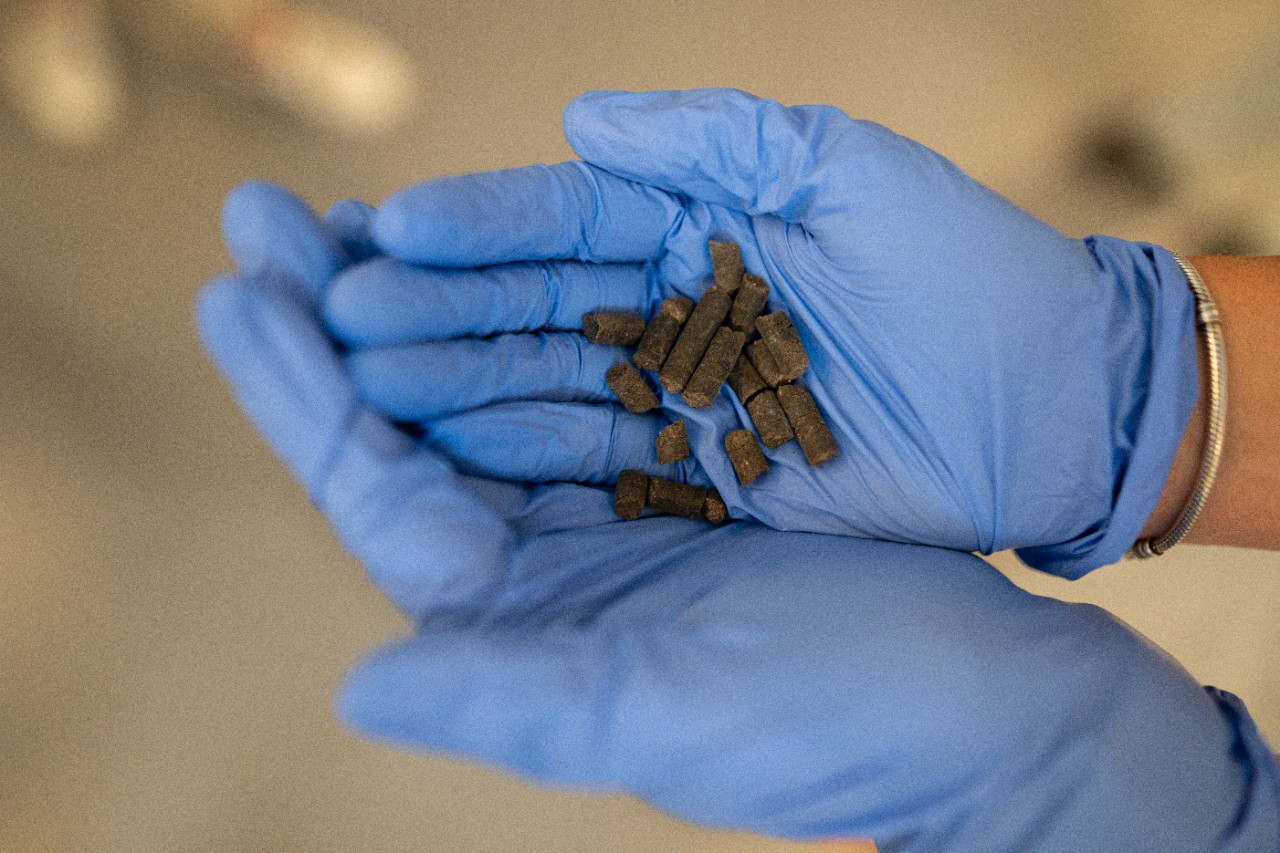 Laboratory testing to optimise digestate quality for agricultural use