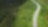 Winding road through dense green forest, representing emerging carbon removal market growth.