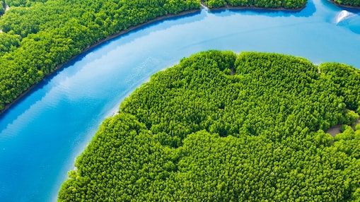 Aerial view of winding river through forested landscape, symbolizing sustainable development.
