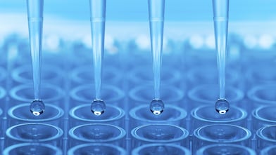 Shell Research Alliance