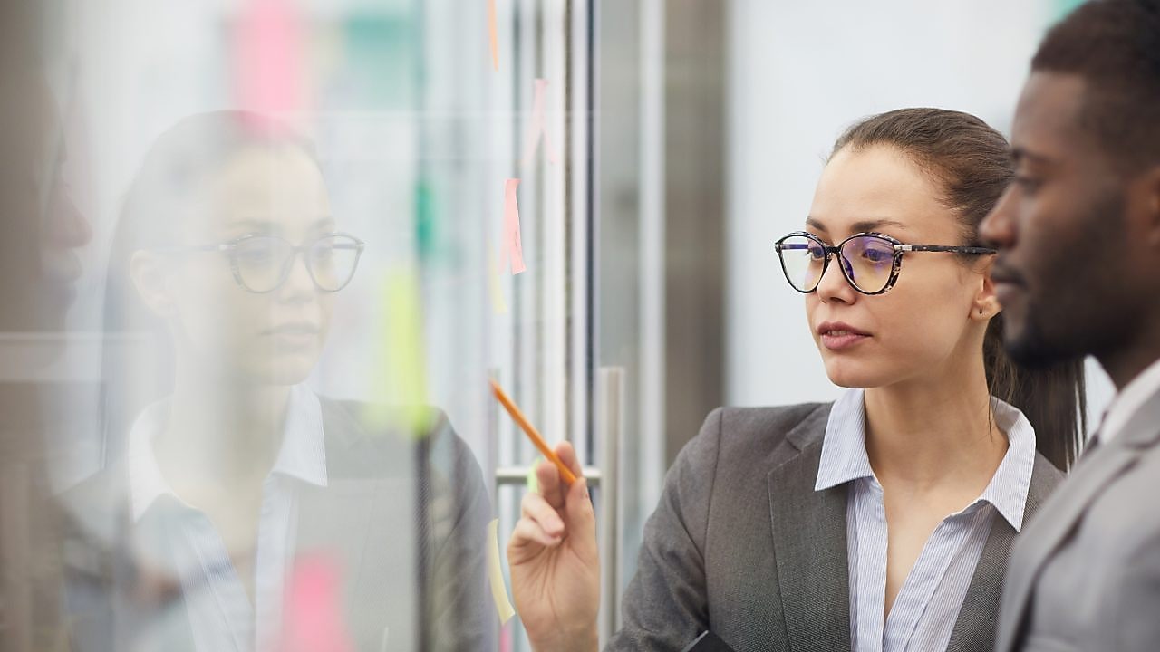 Two  colleagues planning a project