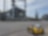 Autonomous robot inspecting a Shell refinery