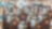 Shell crowns its 2025 global barista champion